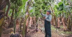 Fairtrade International calls on industry to act for fair supply chains
