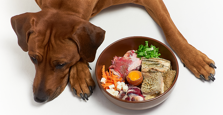 Pet food industry embraces upcycled ingredients