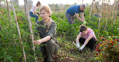 The new geopolitics of food: How to create a resilient, self-reliant industry