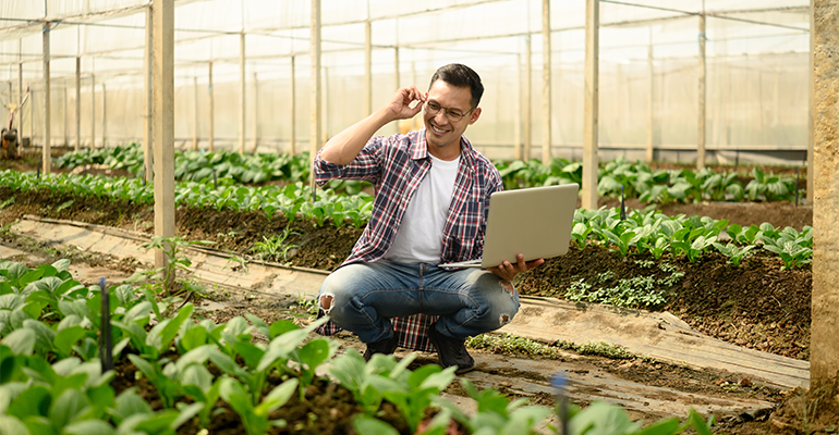 How plant science is adding value to commodity crops