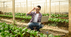 How plant science is adding value to commodity crops
