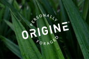 What Is Pandan? Asia's new Vanilla