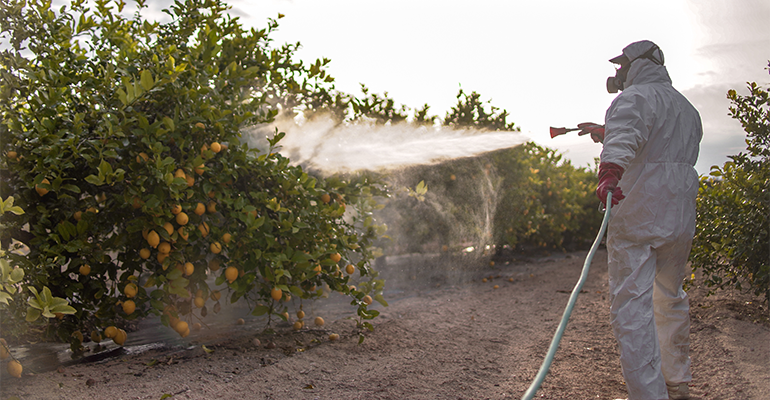 US Supreme Court sides with Bayer on glyphosate pesticides