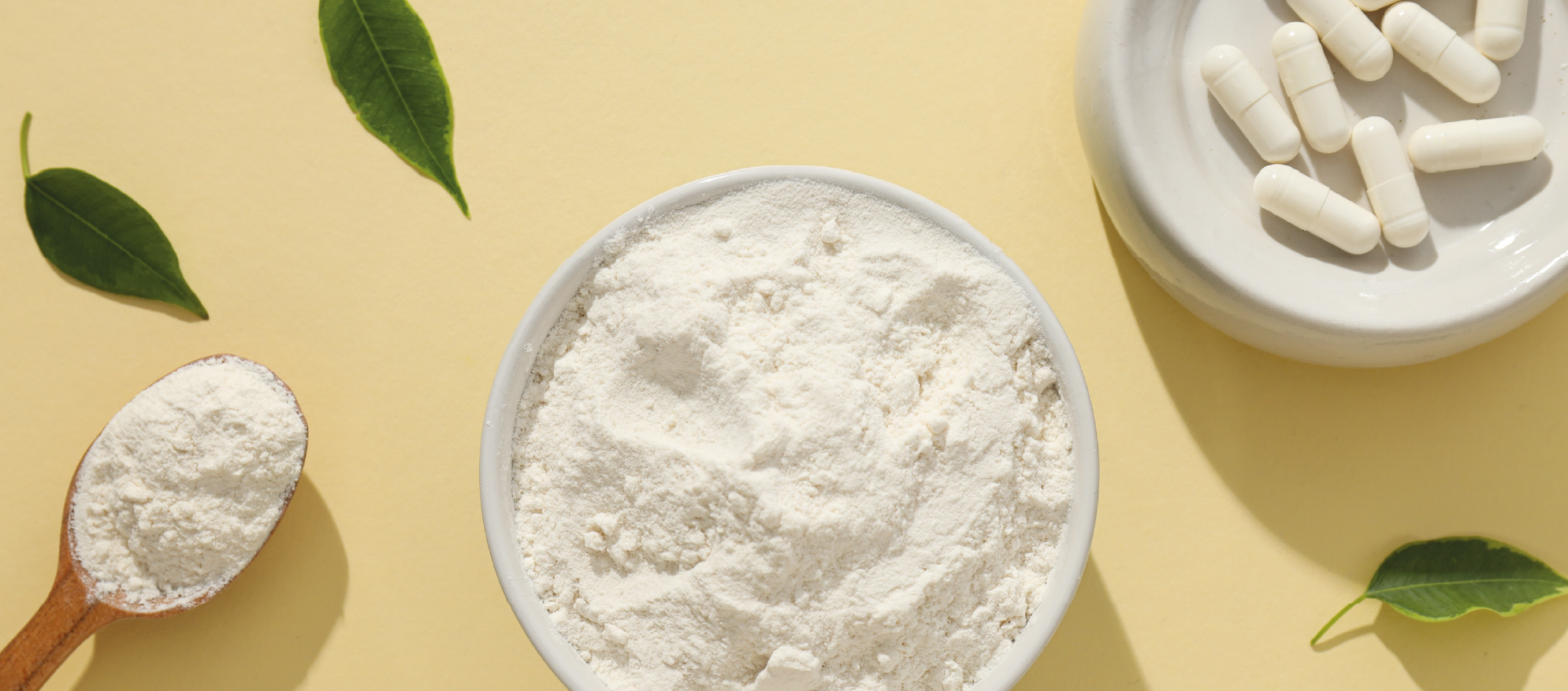 A Colloquy on Collagen: Navigating Quality Control with ProfilePrint