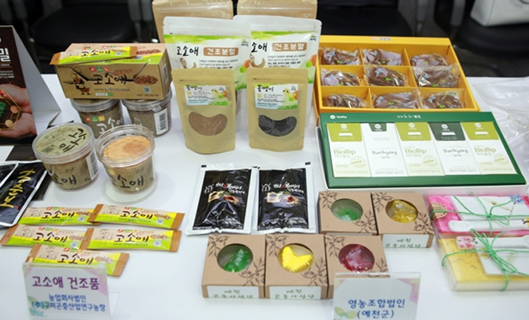 AI Predicts Consumer Preferences for Insect-Based Foods