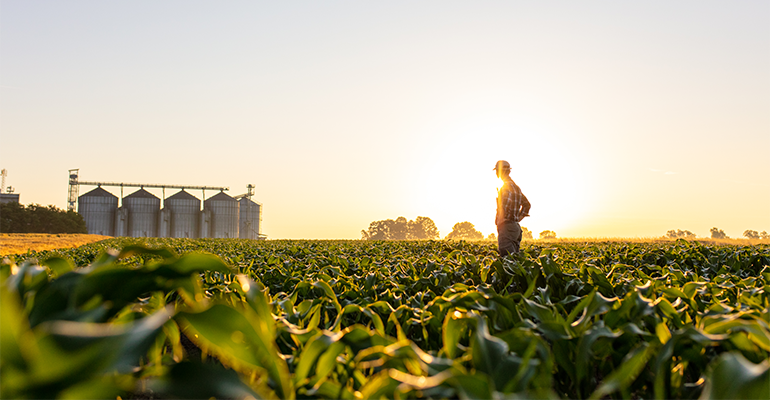 ‘Urgent gaps’ in achieving 2030 food system goals