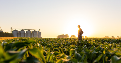 ‘Urgent gaps’ in achieving 2030 food system goals