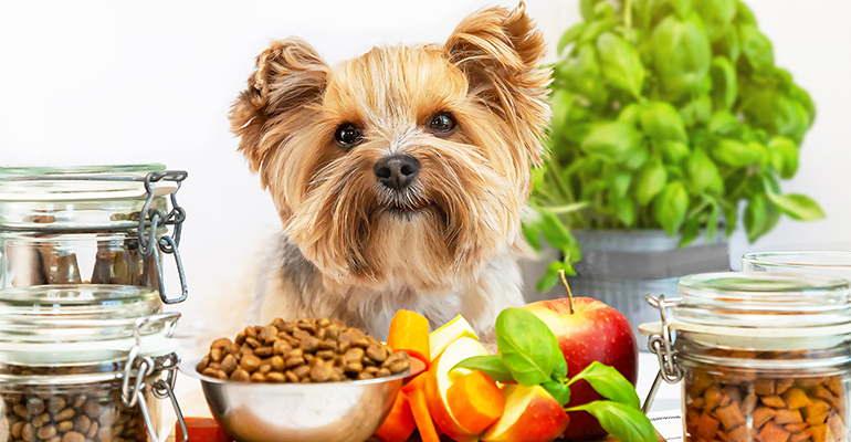 Royal Canin launches ‘freshly-cooked’ therapeutic dog food