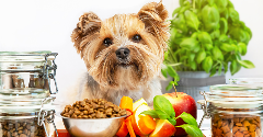 Royal Canin launches ‘freshly-cooked’ therapeutic dog food