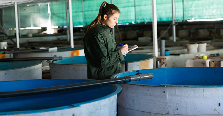 Is the FAO’s industrial aquaculture push harming ecosystems?