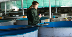 Is the FAO’s industrial aquaculture push harming ecosystems?
