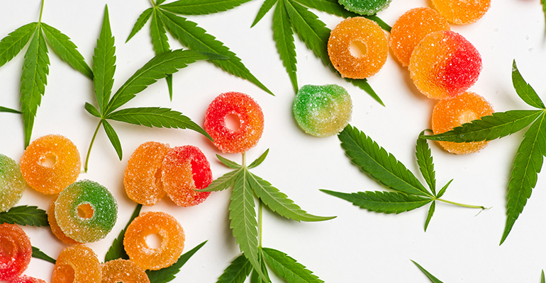 The CBD market in Europe: A challenging regulatory picture
