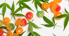The CBD market in Europe: A challenging regulatory picture
