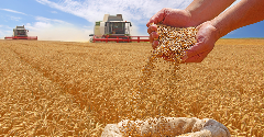 Manufacturers face volatility as food prices near four-year high