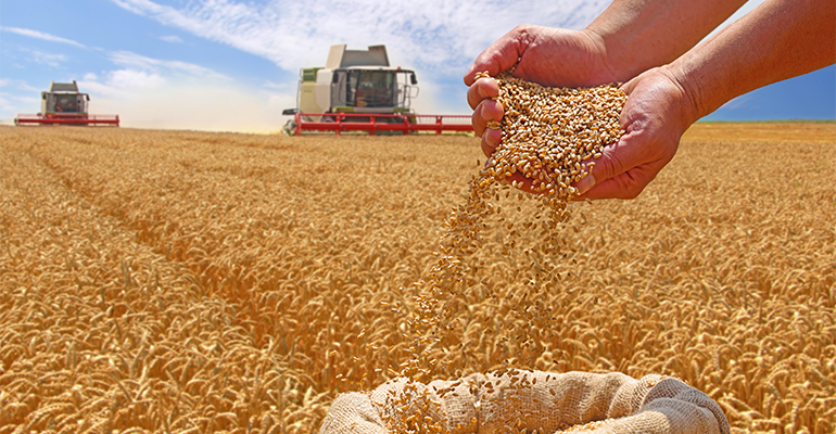 Manufacturers face volatility as food prices near four-year high