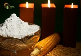 Maize Starch Powder/Corn Starch Powder