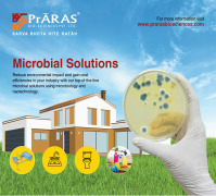 Microbial Solution Service