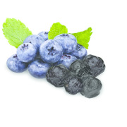 Organic Infused Dried Wild Blueberries