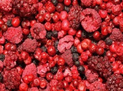 Freeze-dried Berries