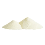 Fat Filled Whey Powders on vegetable fats
