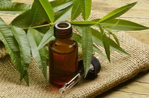 Tea Tree Oil | Ambe NS Agro Products Pvt Ltd | Ingredients Network