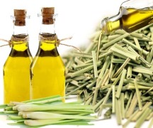 Lemon Grass Oil