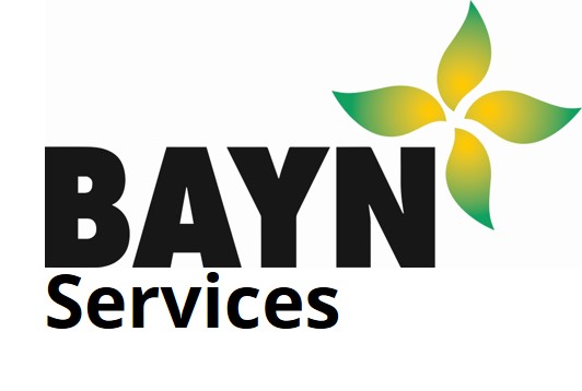 BAYN Services