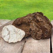 Tianlife® Poria cocos Lipucan
