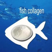Titagen, Fish Collagen Peptide