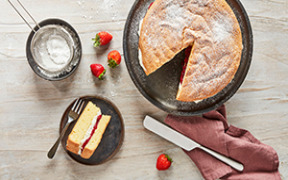 Emulpals 116 vegan cake mix emulsifier