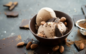 Palsgaard® ExtruIce 274