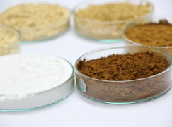Dextrin [White, Yellow and Brown]