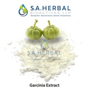 : Garcinia Combogia Extract  Garcinia Extract
