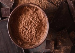 Cocoa Powder & Chocolate Products