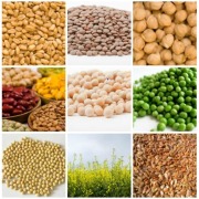 Pulses, legumes and cereals