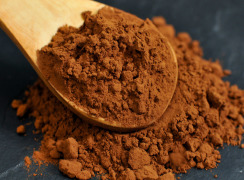organic cocoa and derivatives