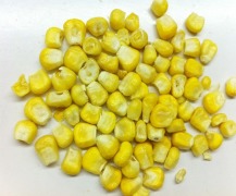 FD sweet corn