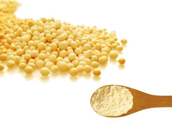 Соевая добавка. Soybean Protein isolate. PNG соевый протеин. Соевый белок иконка. Soybean Protein isolate Factory.