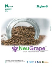 Grape Seed Extract OPCs