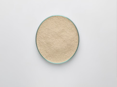 Micronized grain products