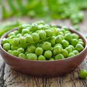 Fava Bean Protein