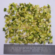 Dehydrated Cabbage Flakes
