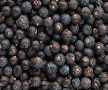GinMix – Botanicals for spirits