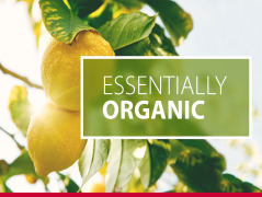 Essentially organic: Bell's line of organic certified flavours and beverage compounds