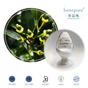 Citrus Aurantium Extract(Synephrine)