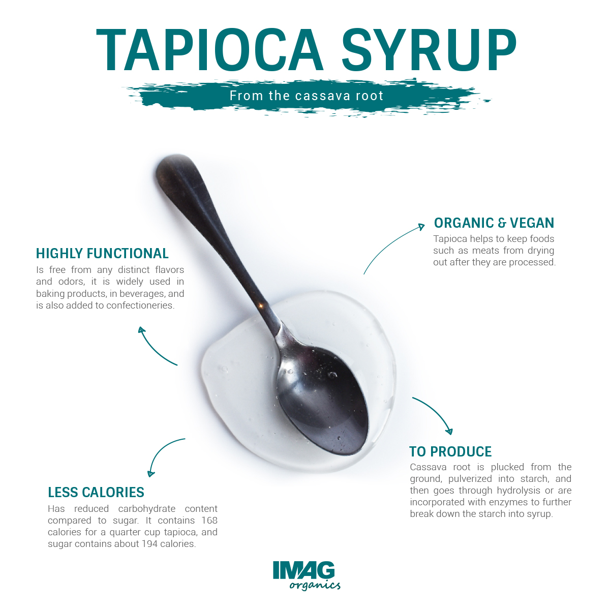 Tapioca Root Information and Facts