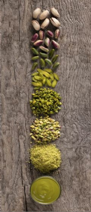 Pistachio