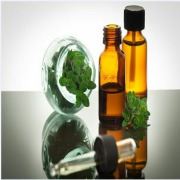 Oregano Herb & Essential Oil