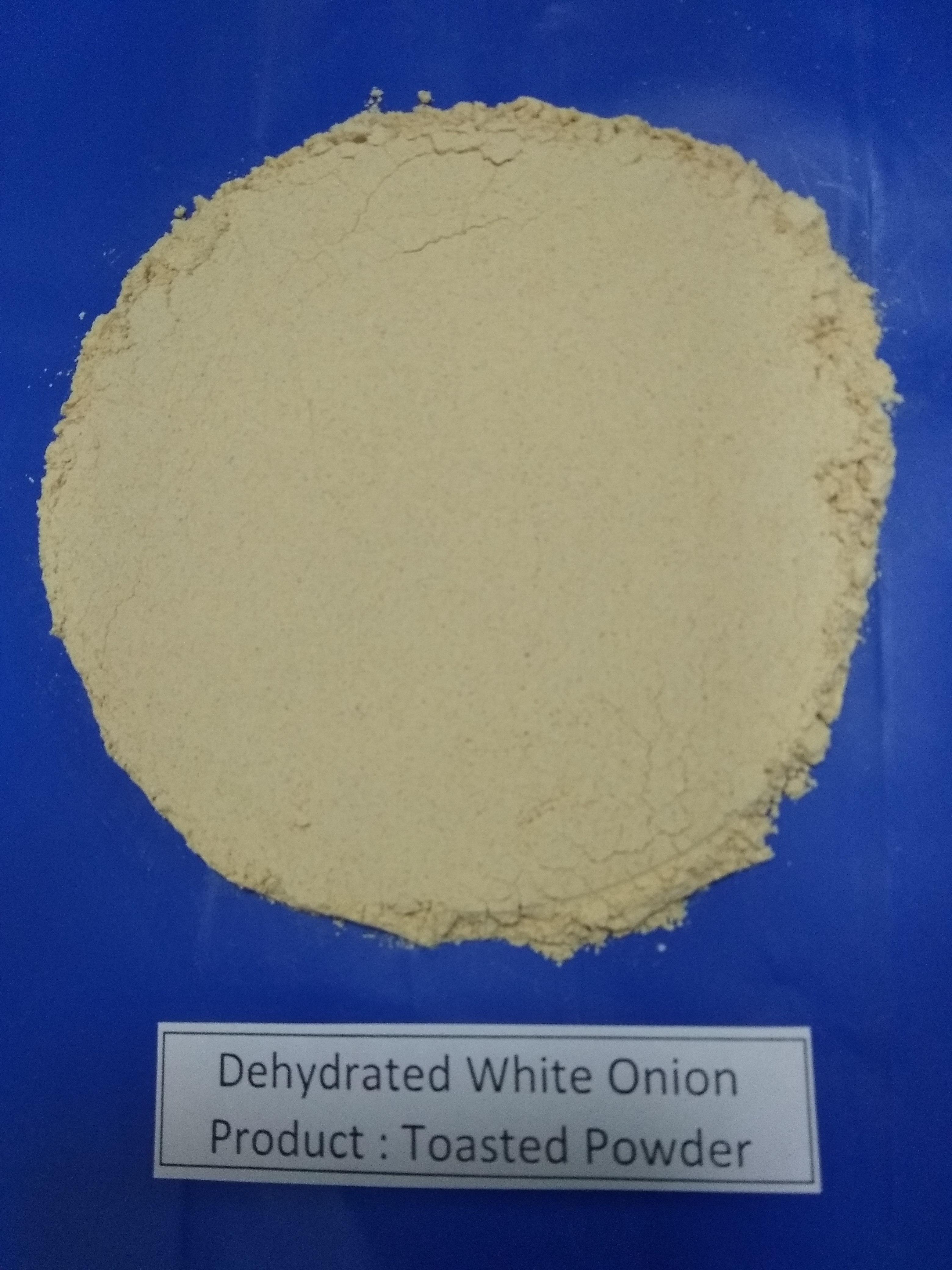 Dehydrated White Onion Toasted Powder