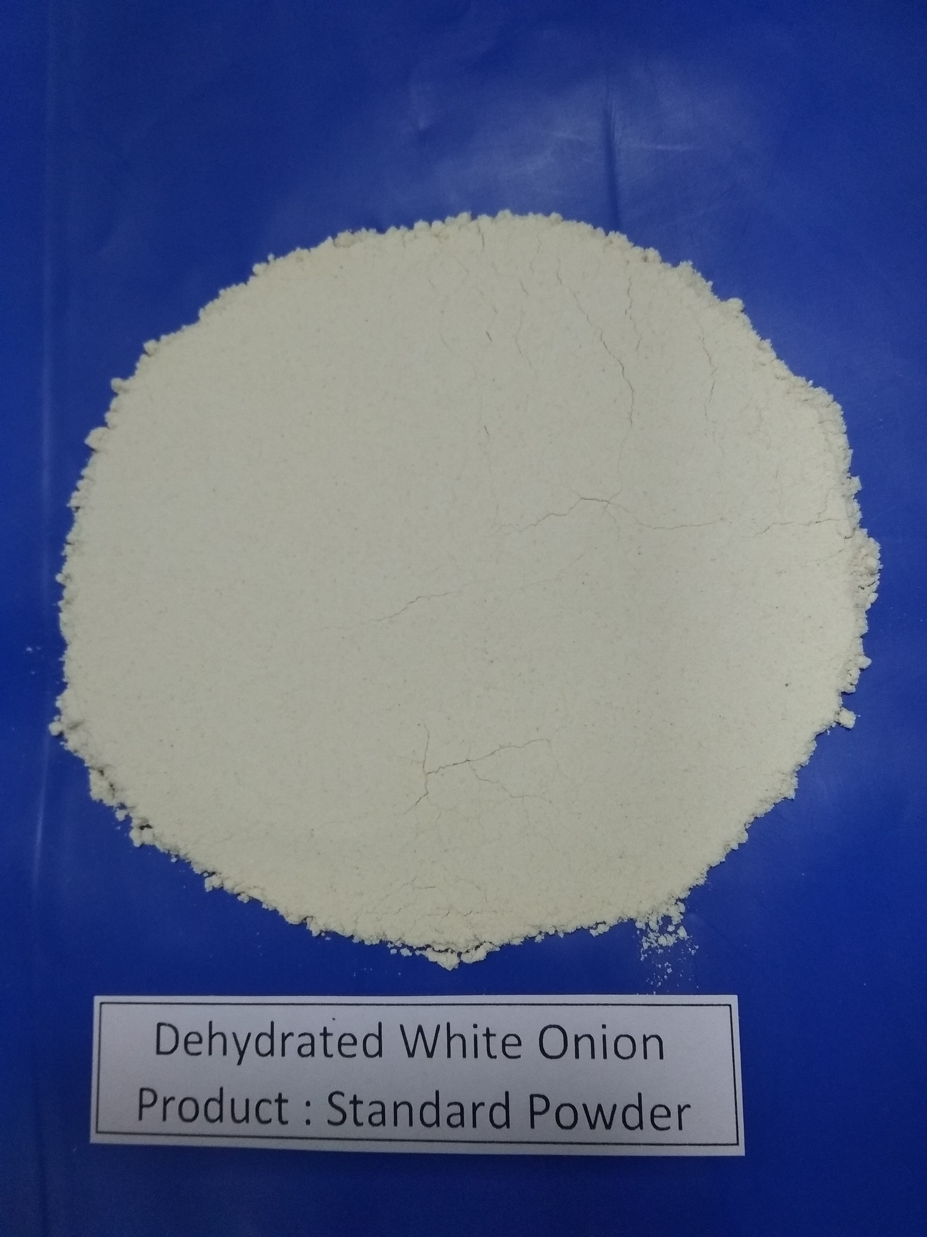 Dehydrated White Onion Standard Powder